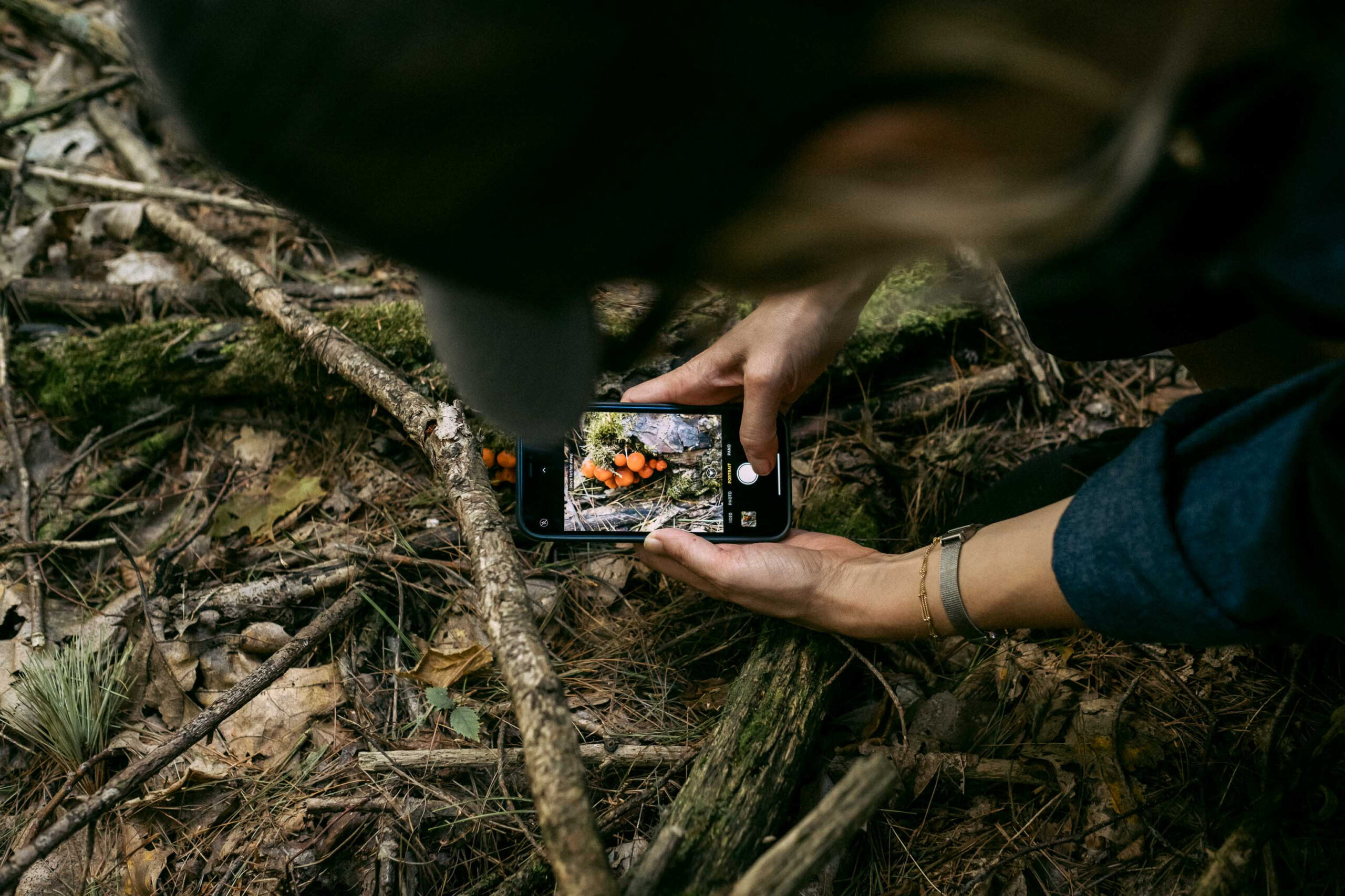 Lauren Jane Heller taking a photograph of a cluster of mushrooms in the Thousand Islands