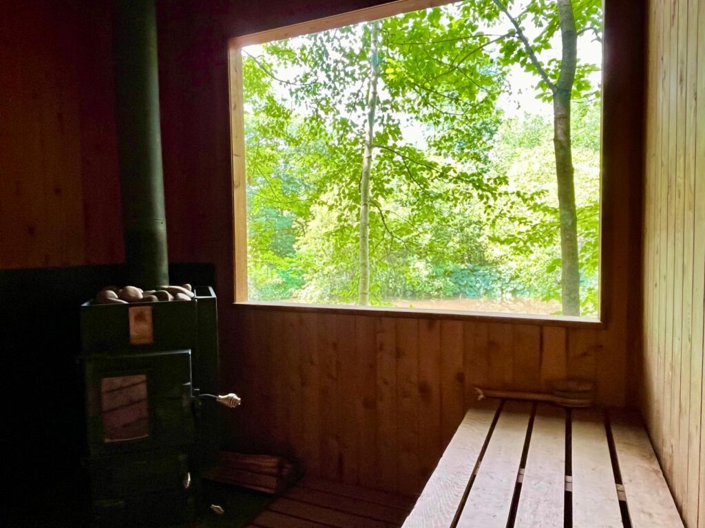 a window looking onto trees from a sauna